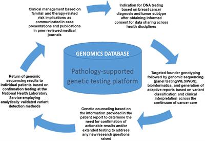 Implementation of multigene panel testing for breast and ovarian cancer in South Africa: A step towards excellence in oncology for the public sector